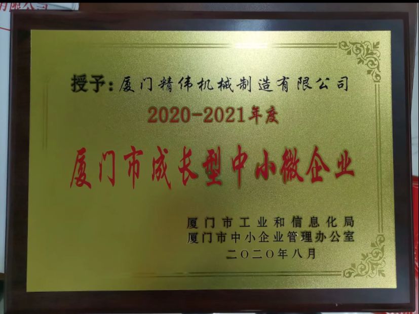 成(cheng)長型中(zhōng)小微企(qi)業2020-2021